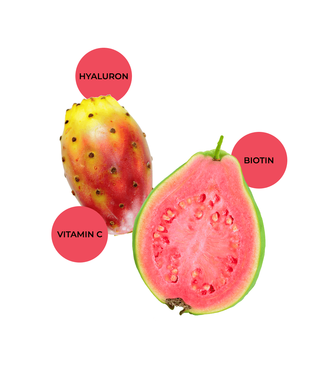Guava Cactusfruit