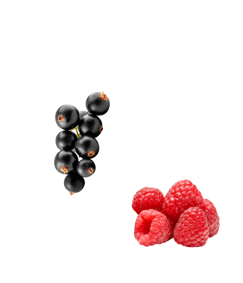 Raspberry Blackcurrant